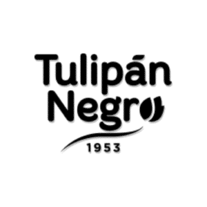 TULIPAN NEGRO
